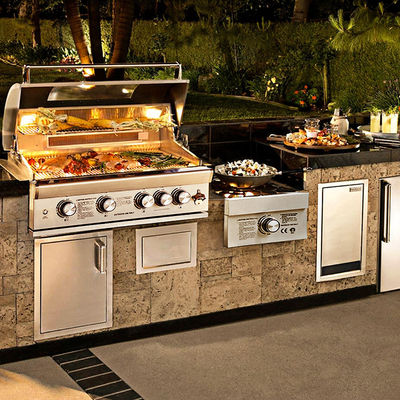 Propane Gas Stainless Steel Multifunction Drop Built in Barbeque Grill for Gas Charcoal