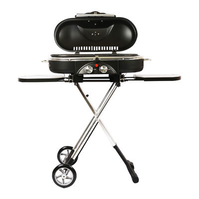 Custom Design Camping Outdoor BBQ Grill Portable Griller Charcoal for Outdoor Cooking